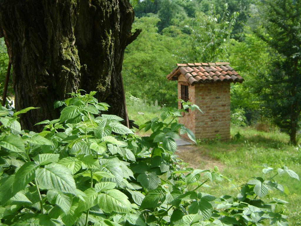 B&B Cascina Rossa Асти Екстериор снимка
